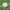 WIN SPORTS GAA Gaelic Ball