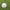 WIN SPORTS GAA Gaelic Ball