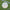WIN SPORTS GAA Gaelic Ball