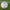 GAELIC TRAINER FOOTBALL
