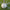 GAELIC TRAINER FOOTBALL