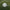 Soccer Match Ball (Flyer Green)