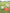 Soccer Match Ball (Win Striker)
