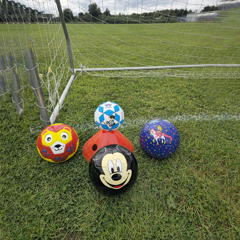 WINSTAR Junior Football