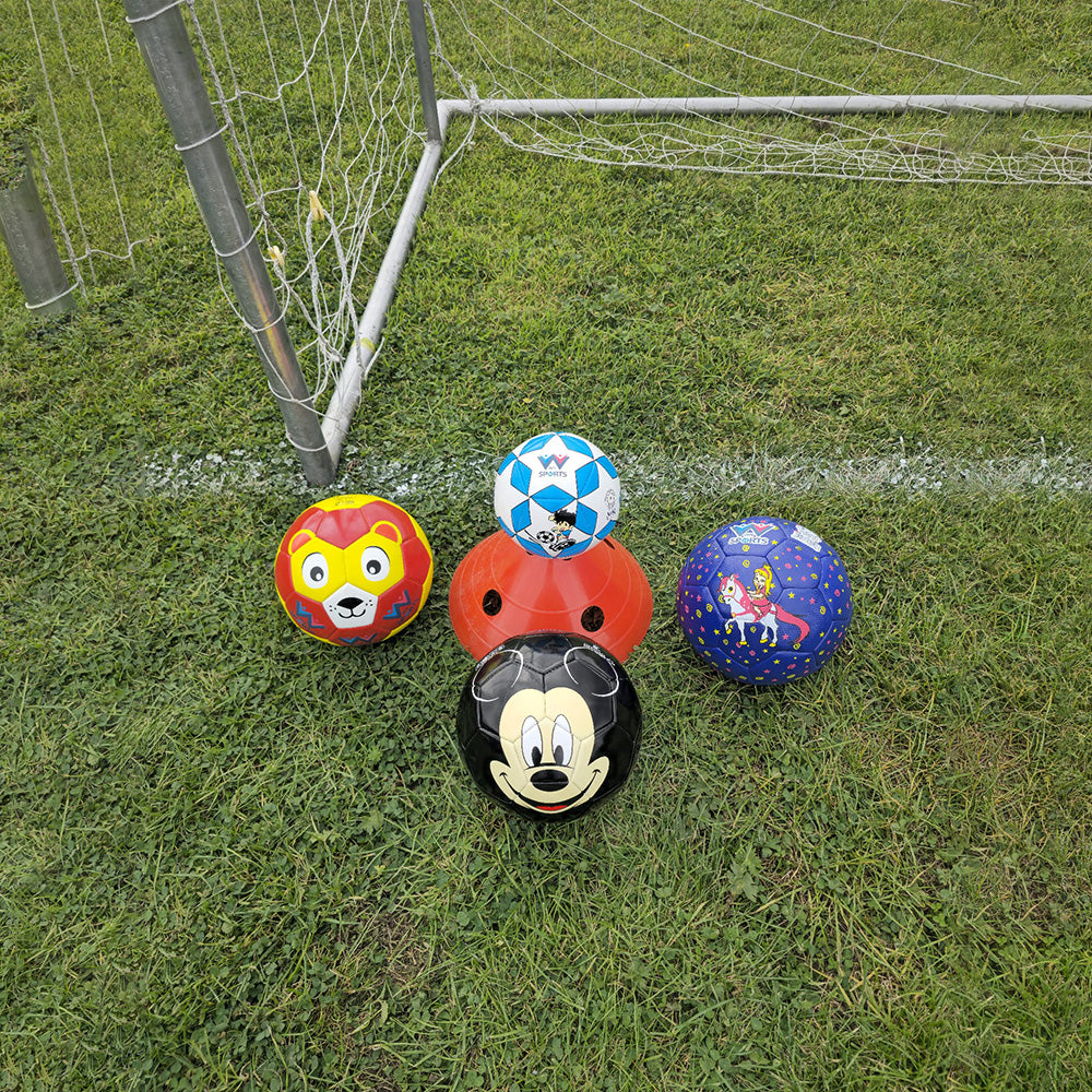 WINSTAR Junior Football