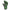 WIN GoalKeeper Gloves (Green Panther)