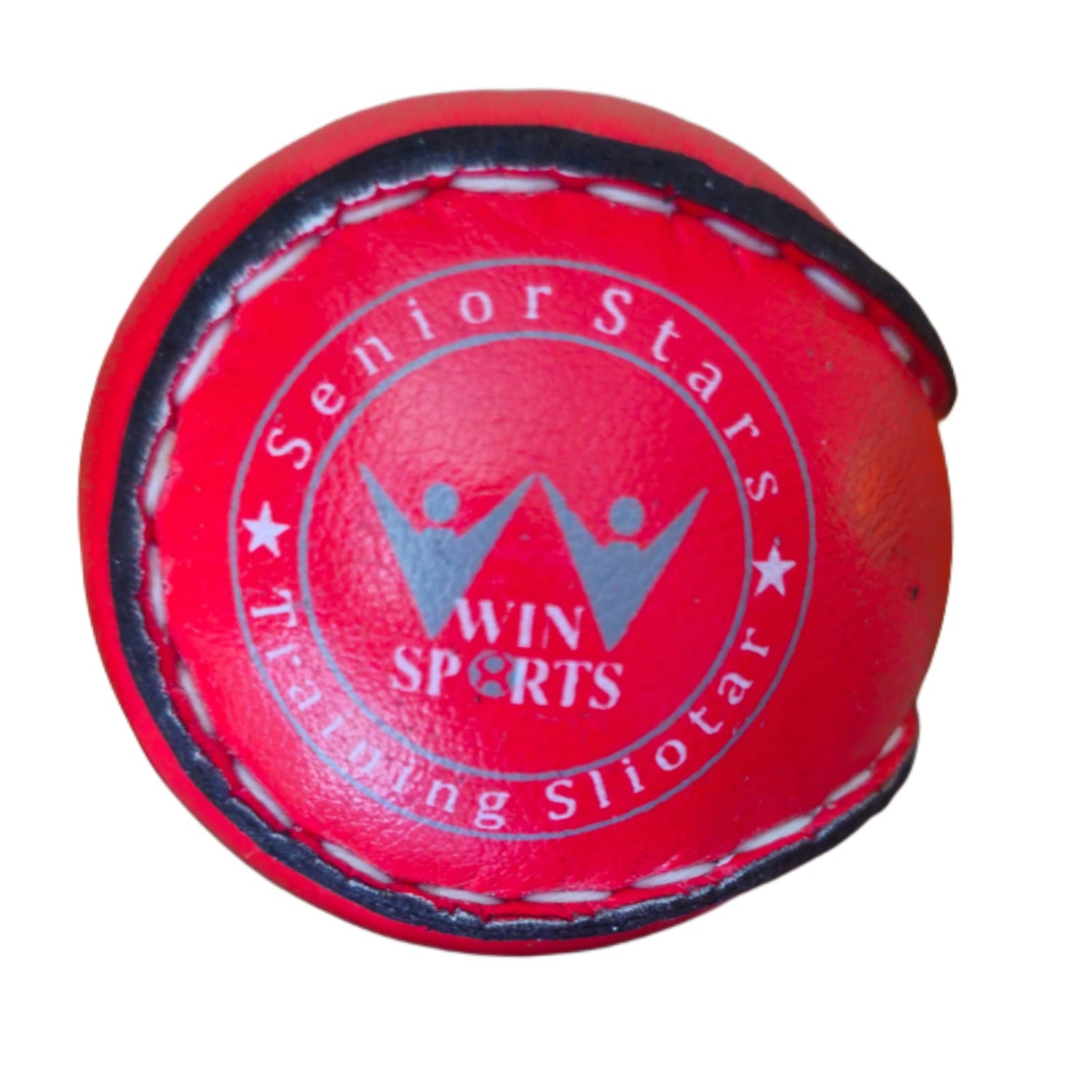 WIN Trainer Sliotars (Size 5)