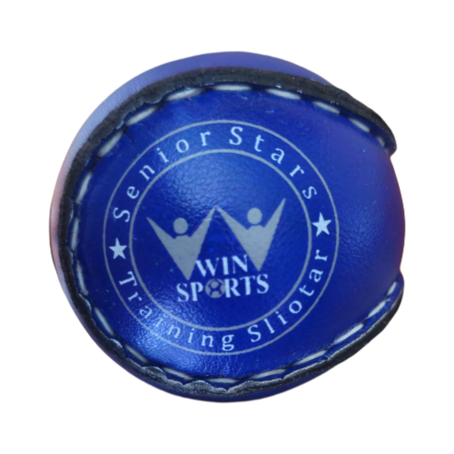 WIN Trainer Sliotars (Size 5)