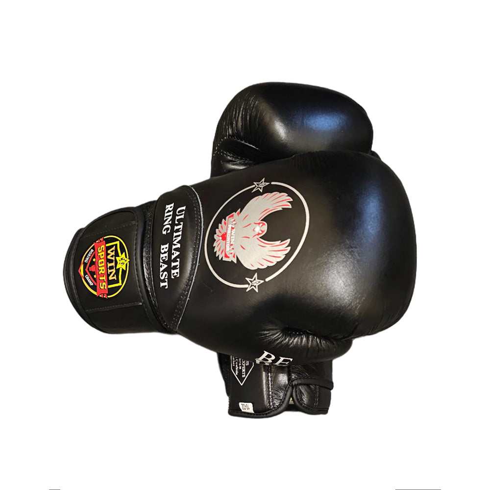 Boxing Gloves Predator