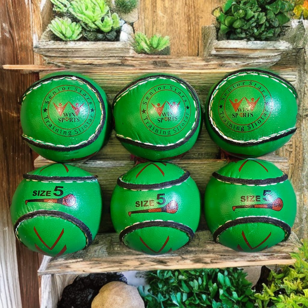 WIN Trainer Sliotars (Size 5)