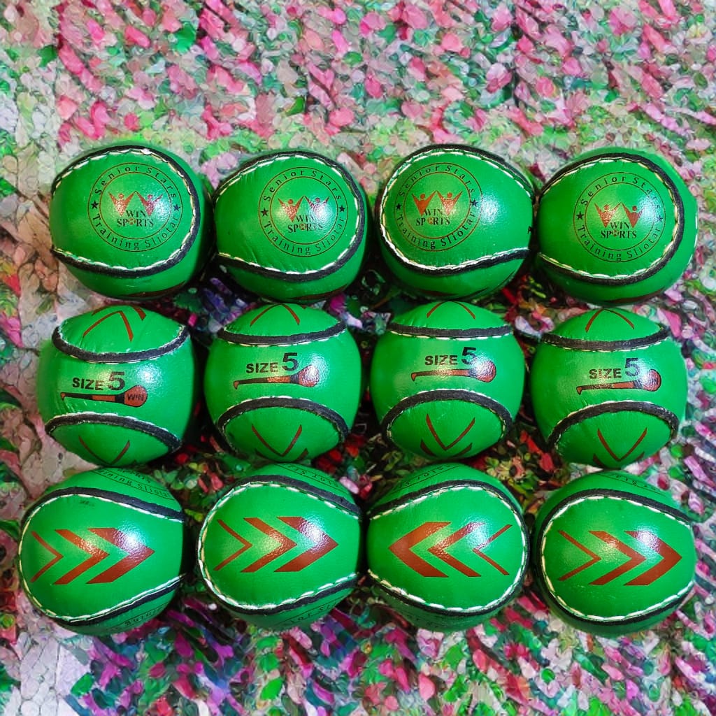 WIN Trainer Sliotars (Size 5)