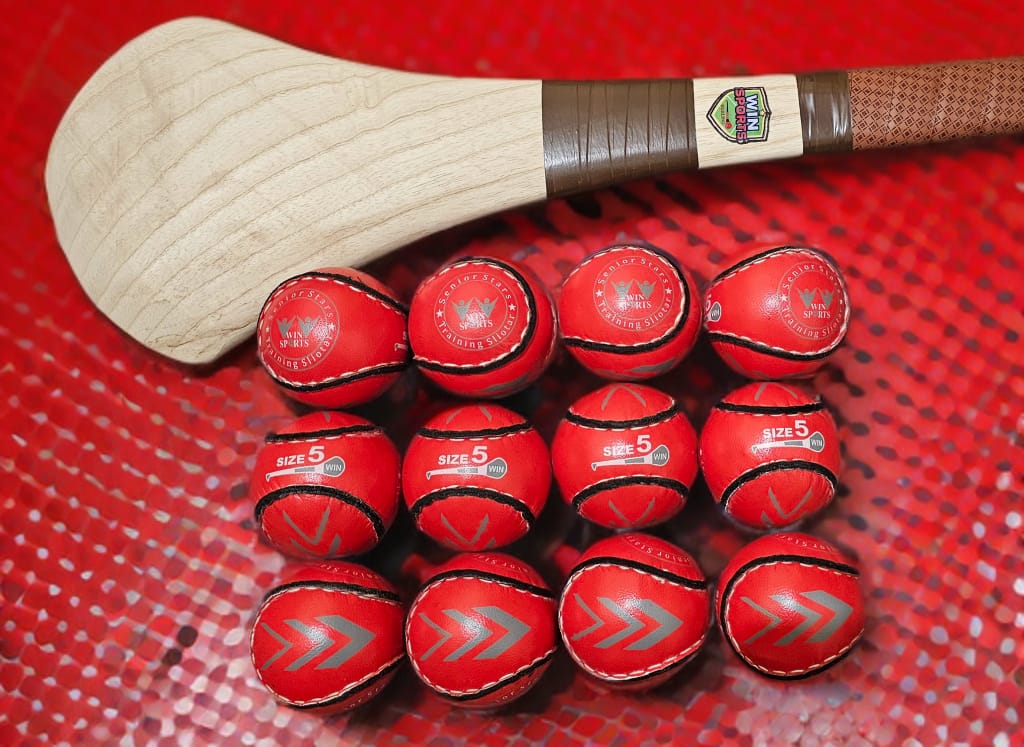 WIN Trainer Sliotars (Size 5)