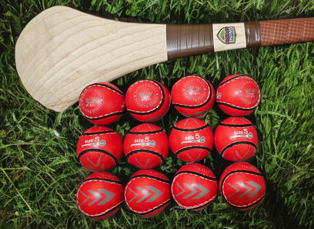 WIN Trainer Sliotars (Size 5)