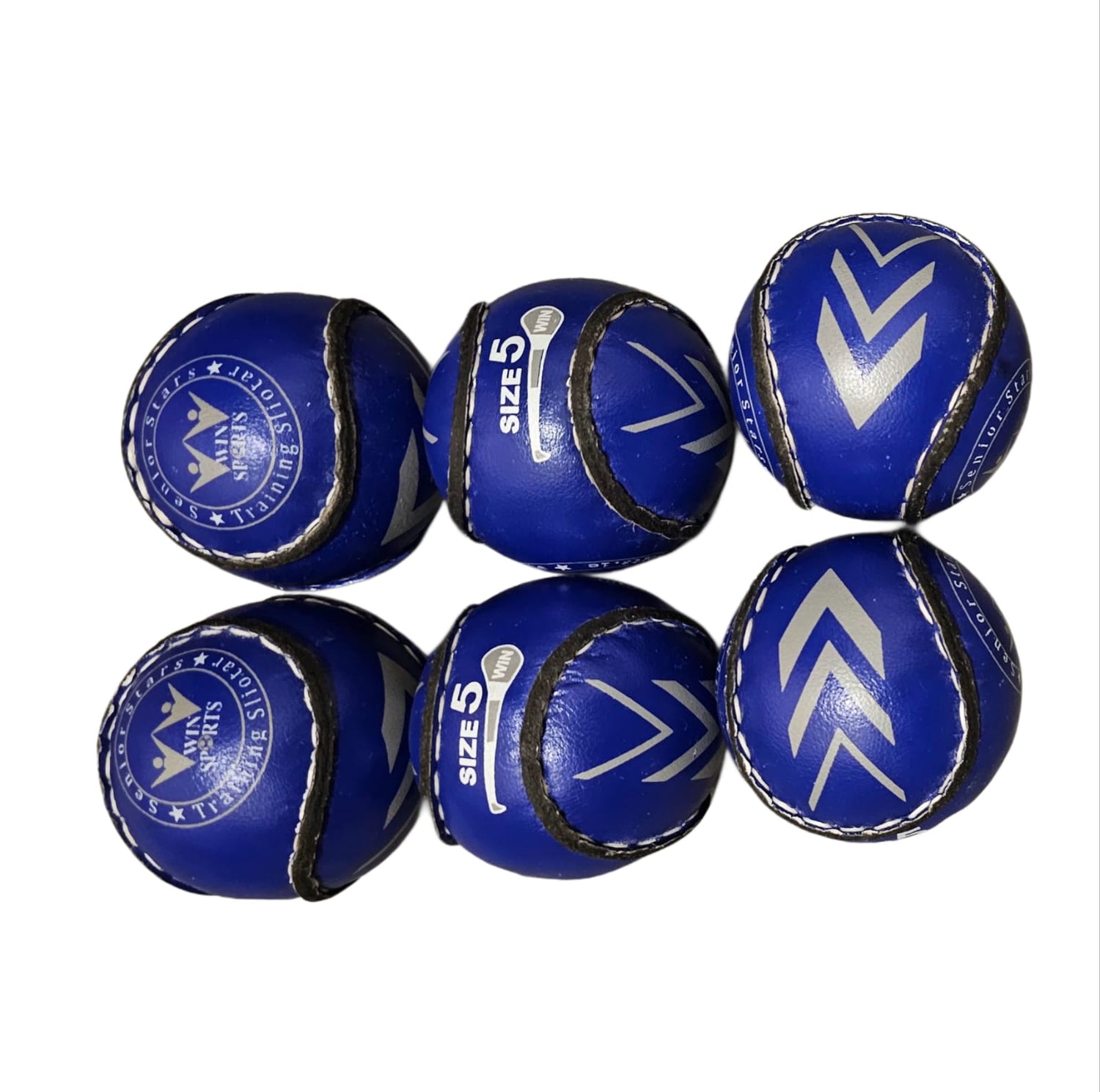WIN Trainer Sliotars (Size 5)