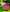 WIN Hurling Speed Balls Pink.