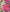 WIN Hurling Speed Balls Pink.