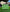 WIN Hurling Speed Balls Green.