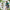 WIN SPORTS GAA Gaelic Ball