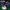 WIN GoalKeeper Gloves (W4k)