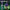 WIN GoalKeeper Gloves (W4k)