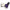 WIN GoalKeeper Gloves (W4k)