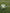 Soccer Match Ball (Win Striker)