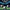 WIN GoalKeeper Gloves (W4k)
