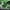 WIN GoalKeeper Gloves (Green Panther)