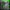WIN GoalKeeper Gloves (Green Panther)