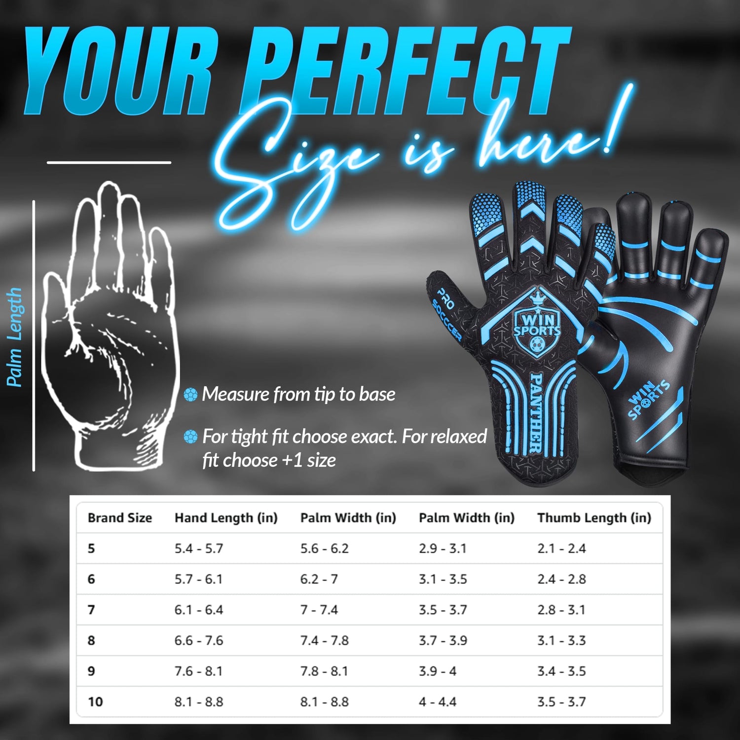 WIN GoalKeeper Gloves (Blue Panther)