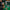 WIN GoalKeeper Gloves (W4k)