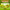 WIN Go Game Sliotars (Smart Touch)