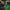 WIN GoalKeeper Gloves (W4k)