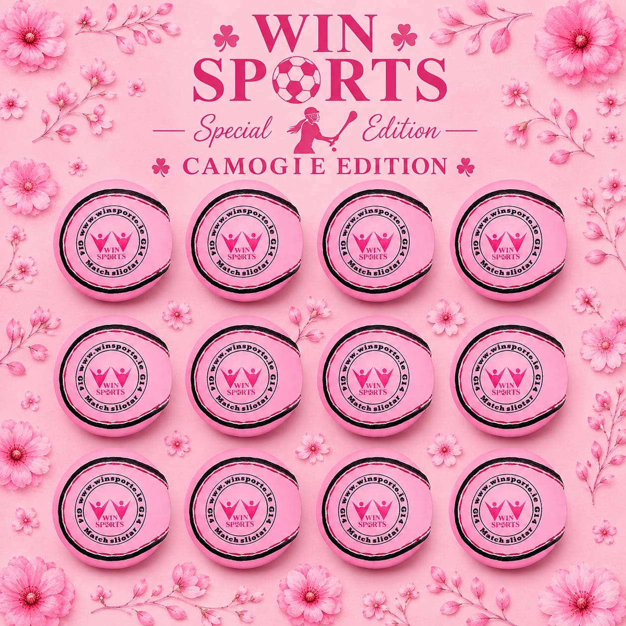 Win Hurling Camogie Pink Sliotars