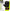 Win Hockey Gloves