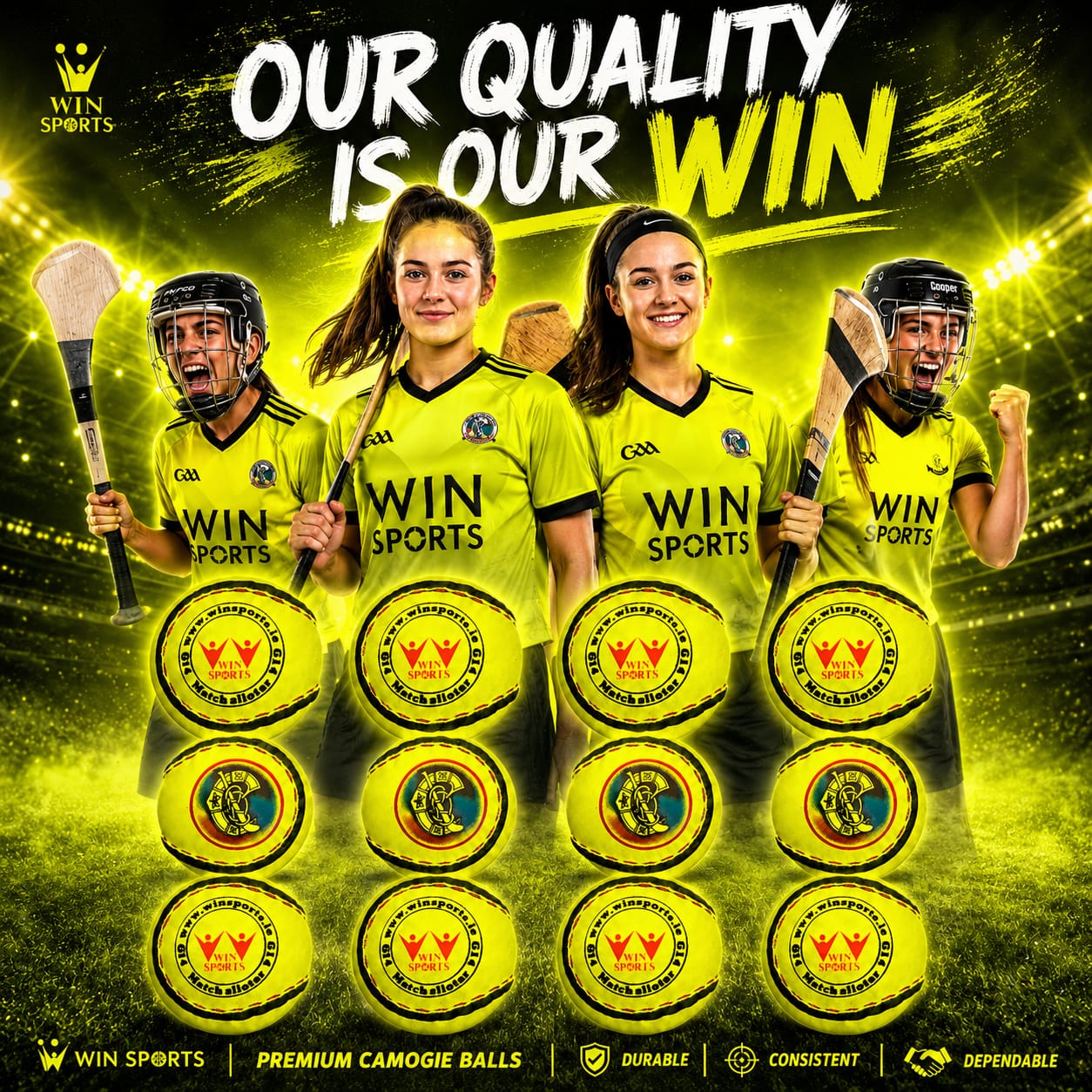 Win Hurling Camogie Sliotars