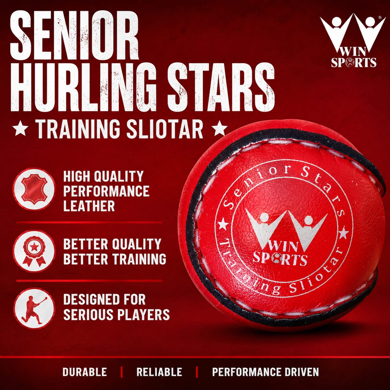 WIN Trainer Sliotars (Size 5)