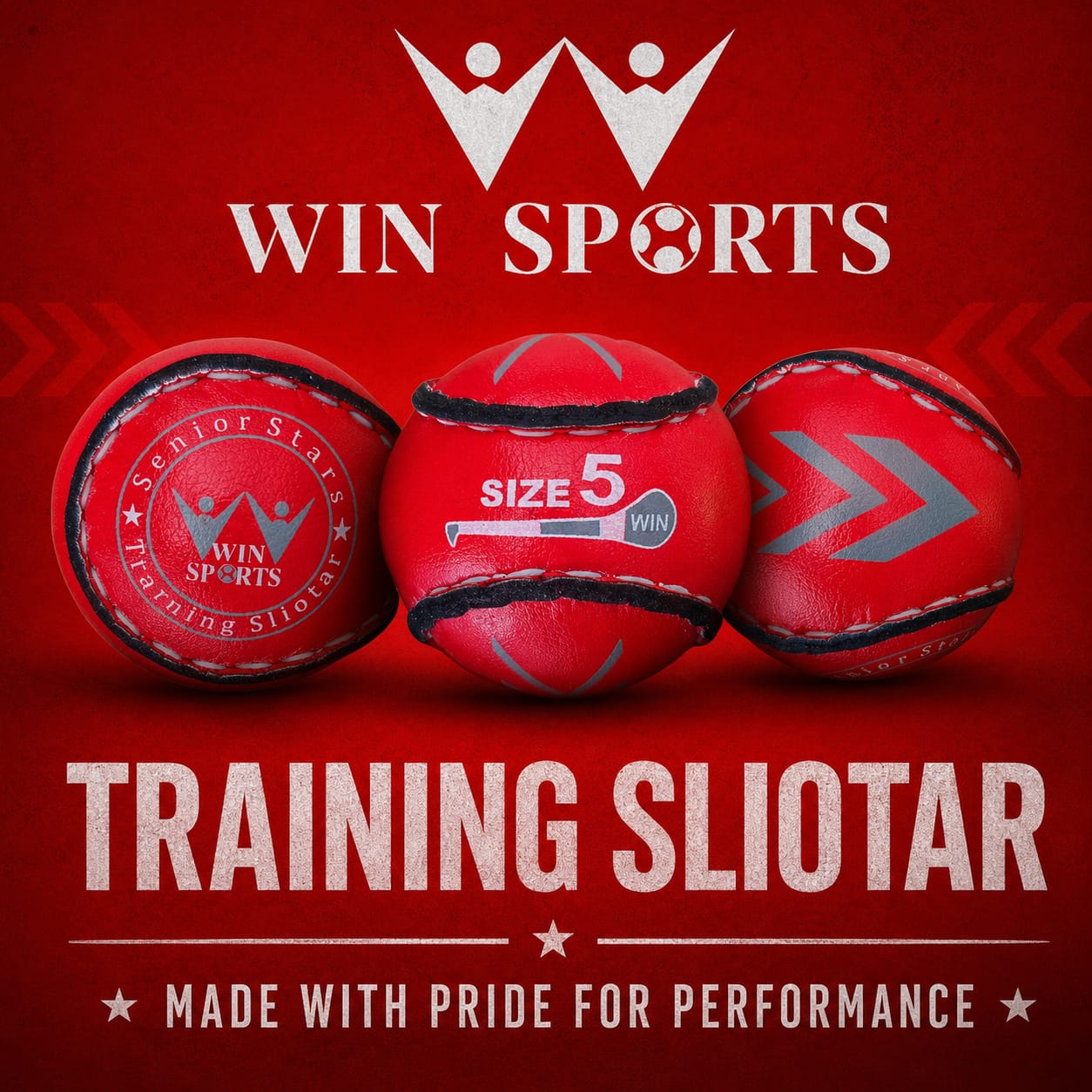 WIN Trainer Sliotars (Size 5)
