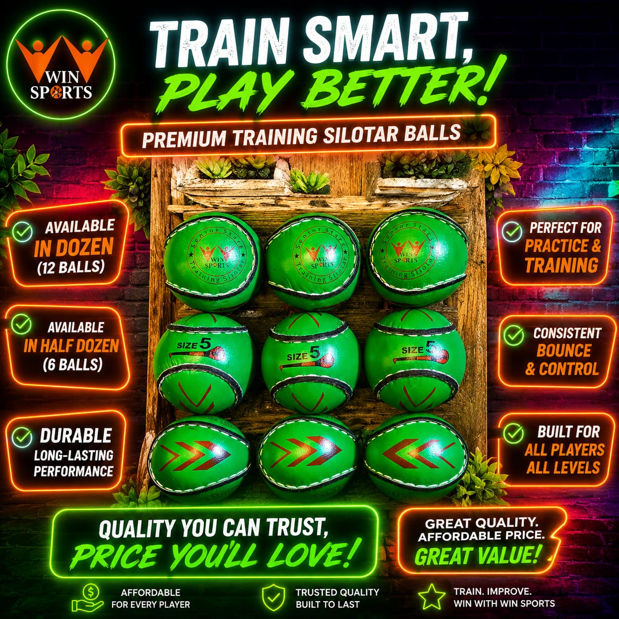 WIN Trainer Sliotars (Size 5)