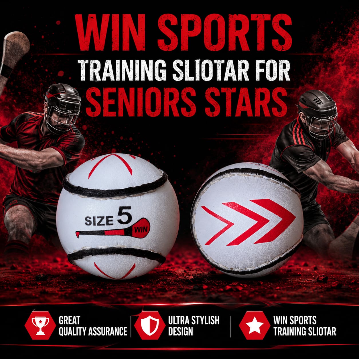 WIN Trainer Sliotars (Size 5)
