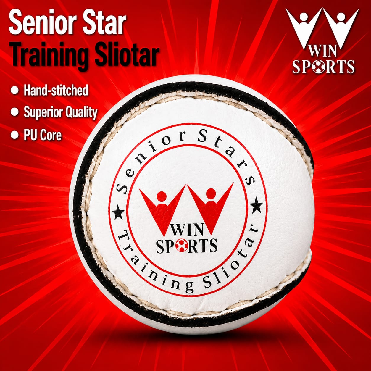 WIN Trainer Sliotars (Size 5)