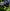 Win Sports Junior Hurling Gloves with Anti-Slip Silicon Grip | hurling gloves junior stars