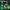 WIN GoalKeeper Gloves (W4k)
