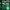 WIN GoalKeeper Gloves (W4k)