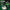 WIN GoalKeeper Gloves (W4k)